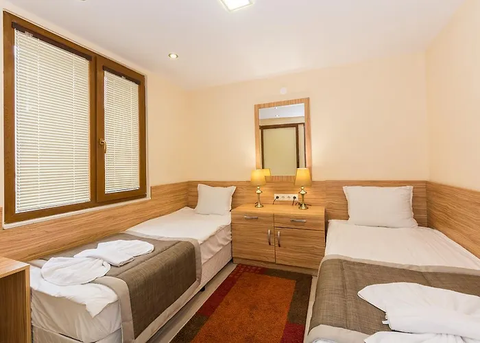 Venus 2* Сонячний Берег