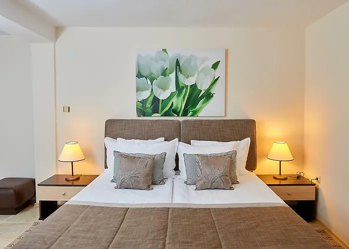 Venus 2* Сонячний Берег